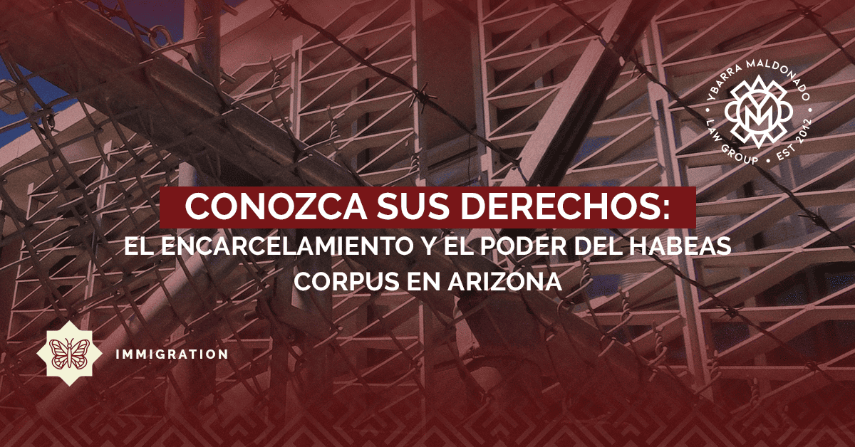 ice detention - habeas corpus in phoenix