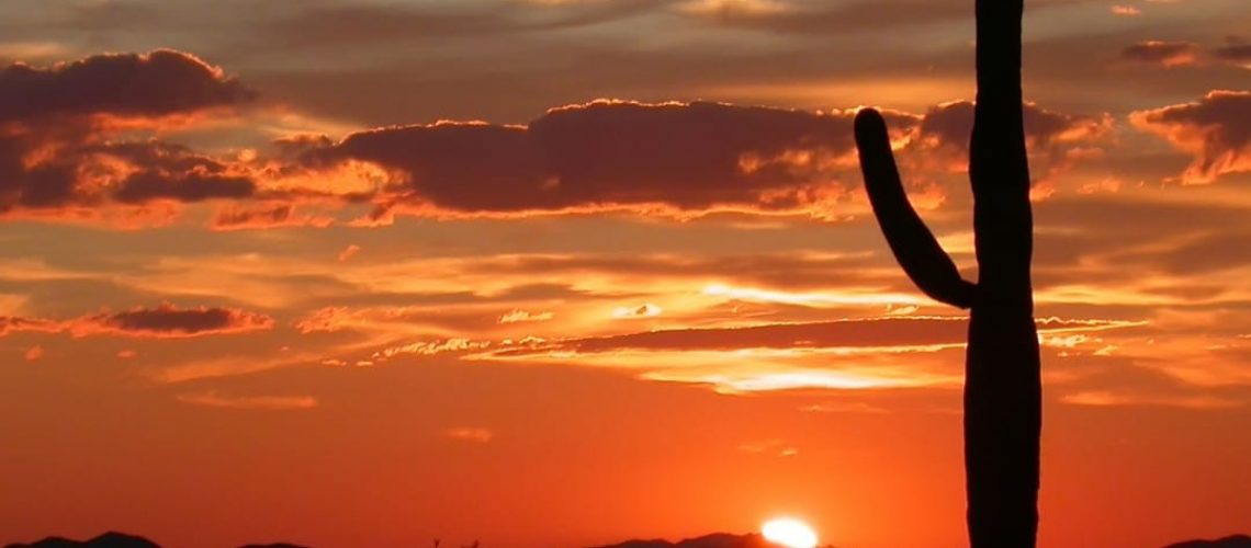 redadas en el lugar de trabajo